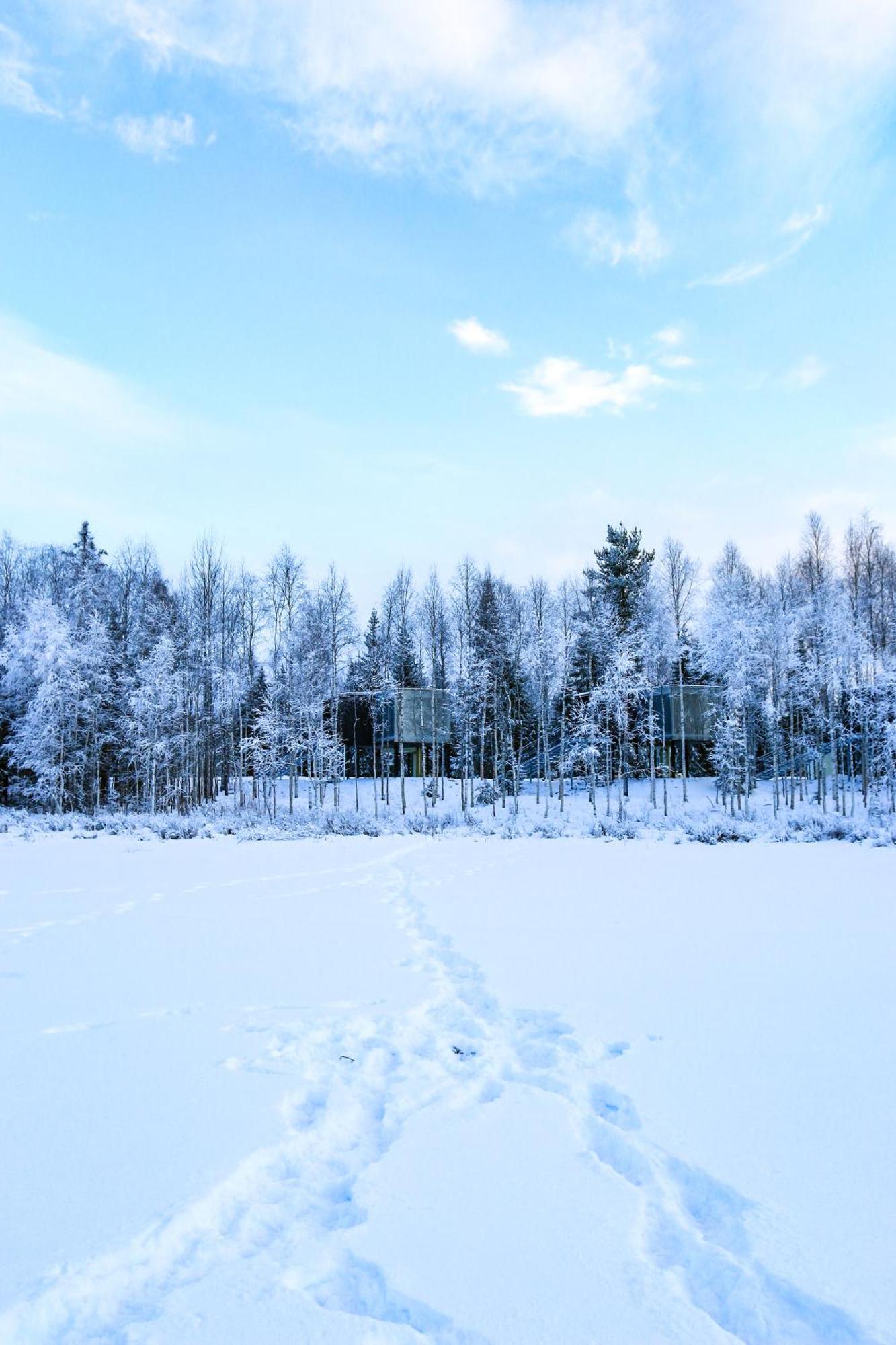 Silver Birch Resort Lapland ロヴァニエミ エクステリア 写真