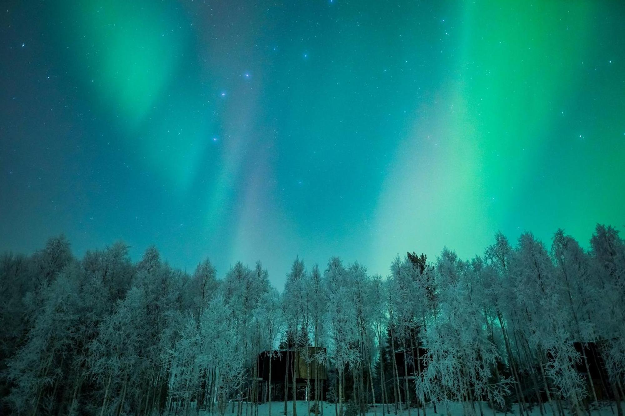 Silver Birch Resort Lapland ロヴァニエミ エクステリア 写真